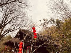 -天目湖涵田半山温泉