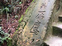 -大金鹰园