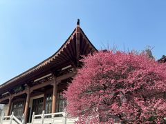 -浙江大学(紫金港校区)