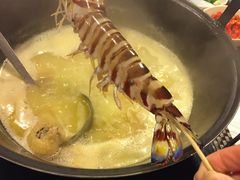 -鲜入围煮花胶鸡海鲜火锅