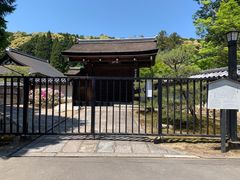 -西芳寺(苔寺)