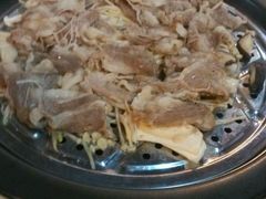 -鸭嘴鱼