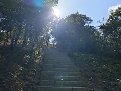 -梧桐山风景名胜区