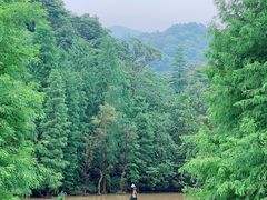 -云溪植物园