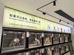 -翊宠yipet猫狗购宠庄园