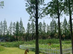 -前小桔亲子创意农场·草莓采摘·露营烧烤