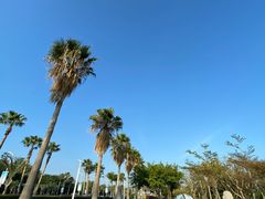 -黄金海岸环岛路