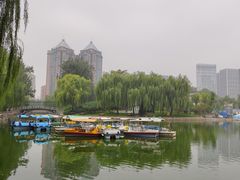 -团结湖公园