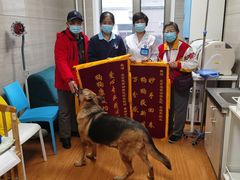 -北京观赏动物医院·24小时大型综合·猫专科·异宠专科