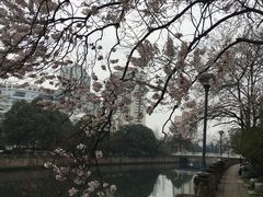-成都市活水公园