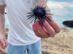 -龟龄岛