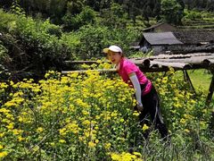 -公盂村