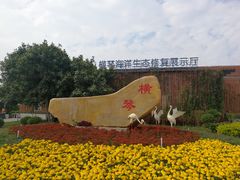 -芒洲湿地公园