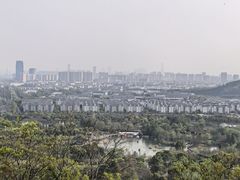 -苏州上方山国家森林公园