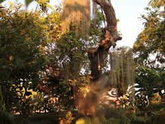 -Chom Cafe and Restaurant