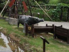 android_upload_pic-朱家角课植园