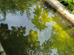 -奉天宴遇烧烤·冒锅