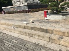 -南沙天后宫景区