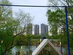 -长白岛森林公园