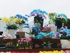 -重庆市江北嘴中央商务区中央公园