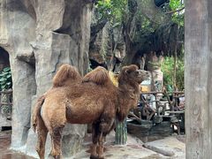 -长鹿旅游休博园