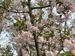 -前小桔亲子创意农场·草莓采摘·露营烧烤