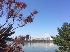 -台场海滨公园船码头