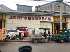 -山东柏宁水族批发广场