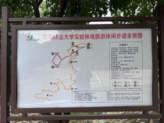 -北京鹫峰国家森林公园