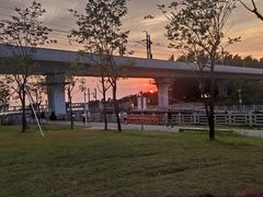 -宝安西湾红树林湿地公园