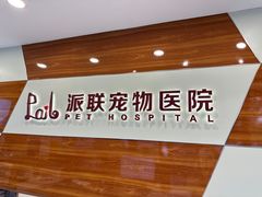 -派联宠物医院·24h·CT·异宠