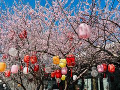-三里河公园