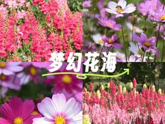 -厦门园林博览苑