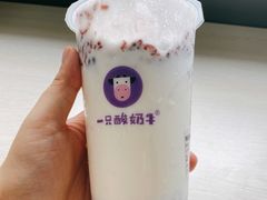 -一只酸奶牛(来福士店)