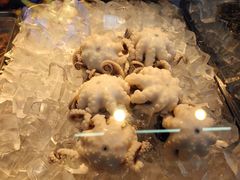 白灼章鱼-铭聚章鱼土笋冻(松柏店)