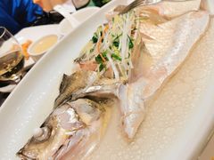 双鲜蒸开刀大白丝-同里湖大饭店-怡景轩中餐厅(同里古镇店)