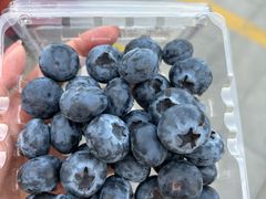 -大润发(东关世茂店)