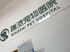 -瑞派天宁宠物医院·猫科·异宠中心