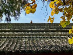 -万寿八仙宫