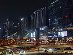 -合景·悠方(成都店)
