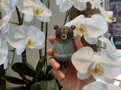 -Peet's Coffee皮爷咖啡(豫园店)