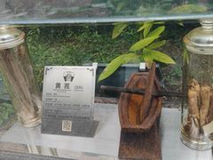 -广州神农草堂中医药博物馆