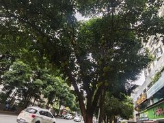 -南宁南湖公园