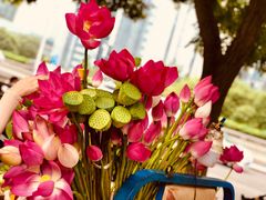 -中央广播电视总台(光华路办公区)