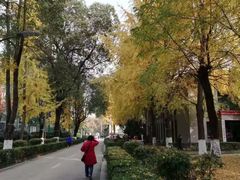 -四川大学(华西校区)