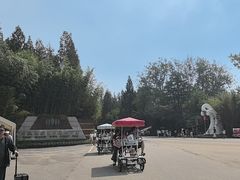 -日照海滨国家森林公园