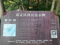 -嘉定紫藤园