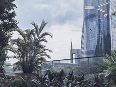 -港丽餐厅(高德置地店)