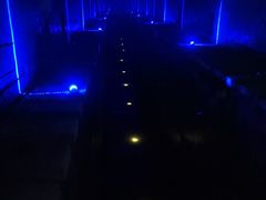 -816工程景区