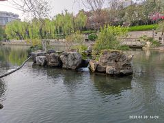 -环城公园